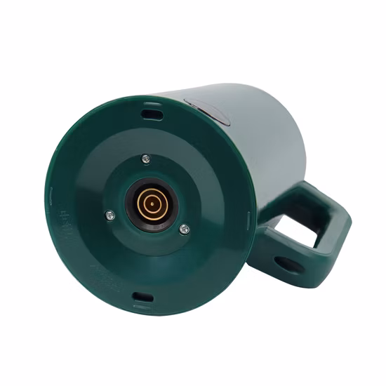 Bouilloire à eau Portable 2L avec indicateur visuel, bouilloire à ébullition rapide, appareil électronique de cuisine domestique